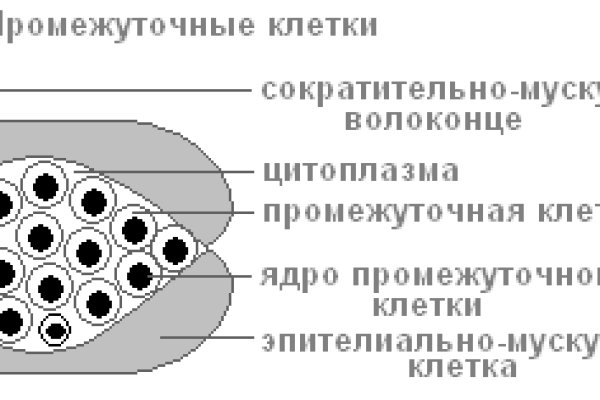 Кракен маркетплейс kr2web in площадка торговая